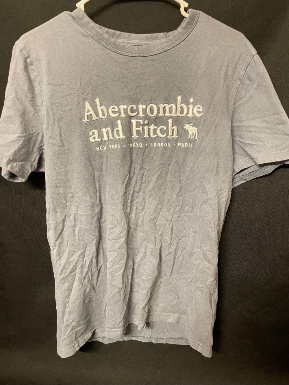 Abercrombie & Fitch Faded Blue Logo Short Sleeve Tee
